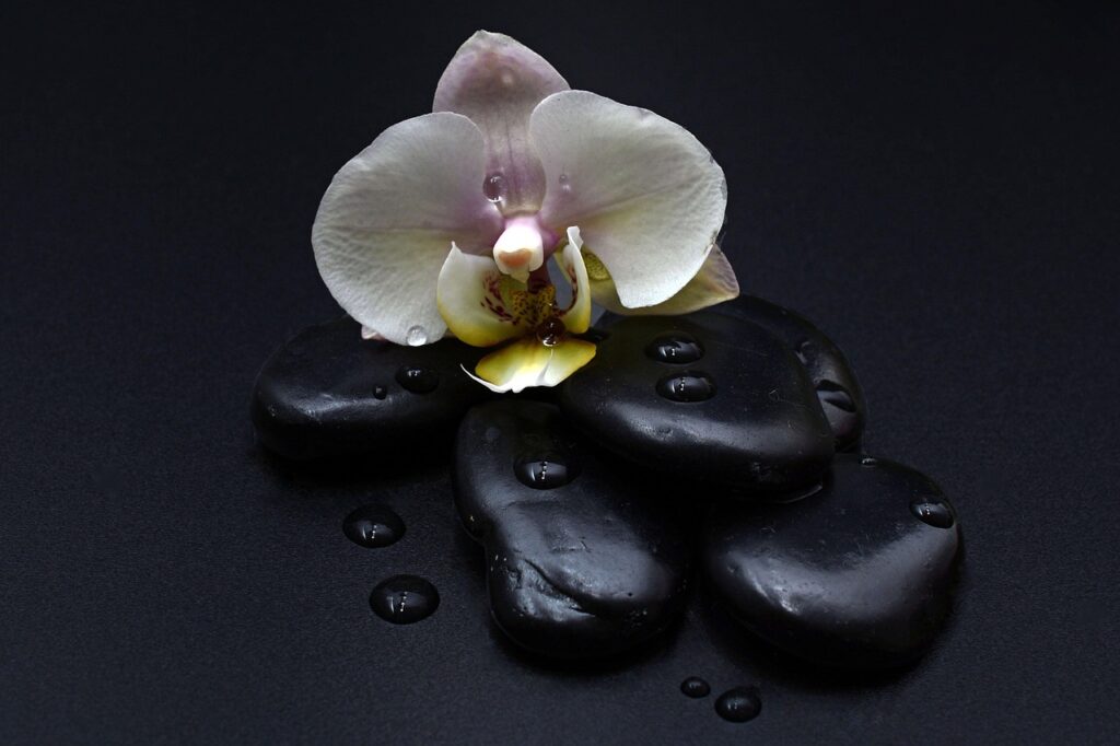 stones, black, orchid, orchid flower, waterdrop, massage, hot stones, relaxation, recreation, balance, relax, wellness, health, spiritual, hot, orchid, orchid, orchid, orchid, orchid, spiritual